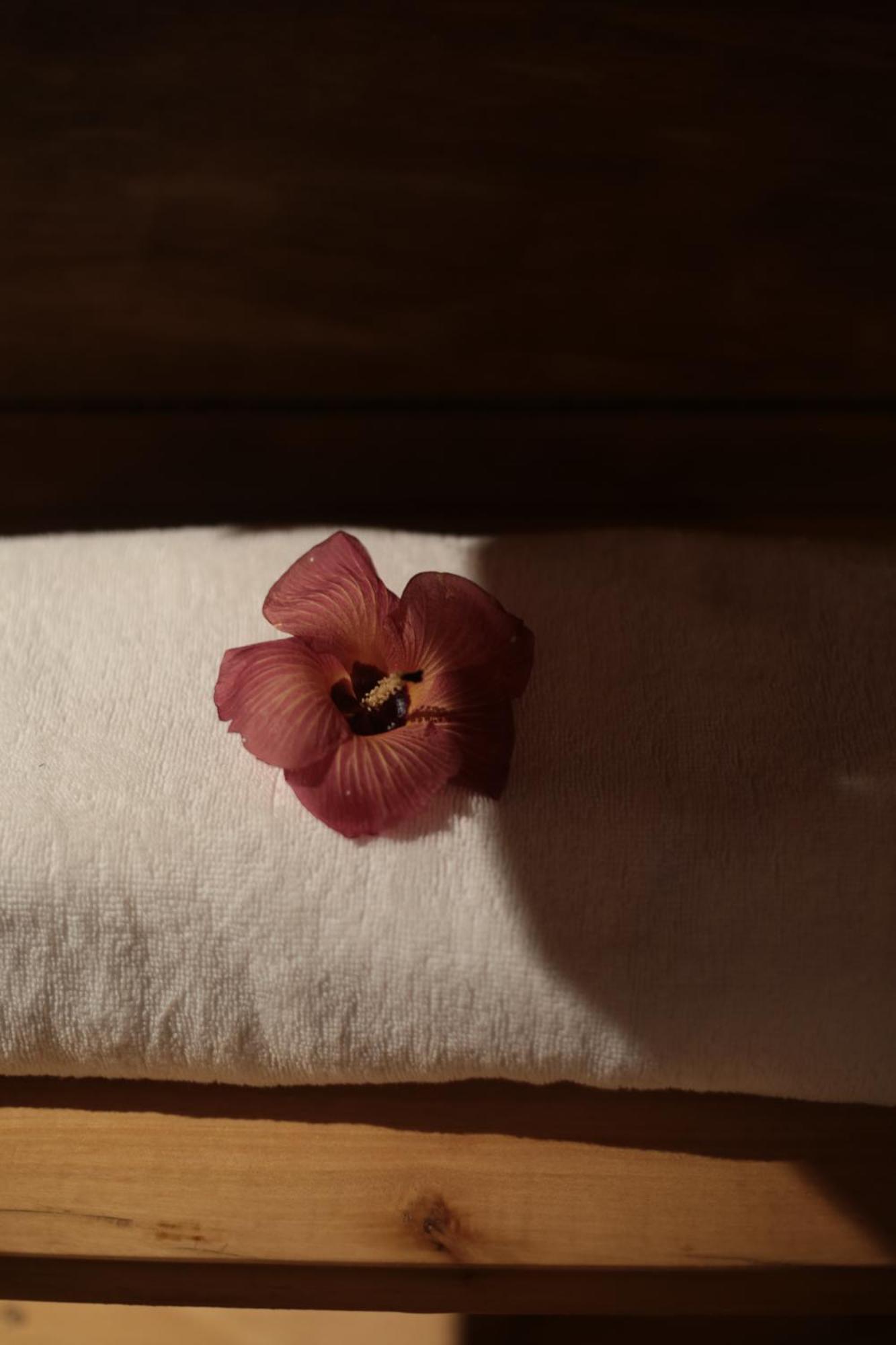 Villa Tala Tua Pejat エクステリア 写真